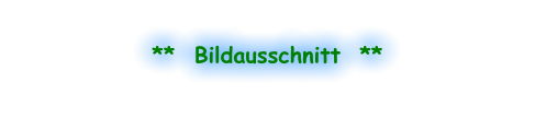 **  Bildausschnitt  **