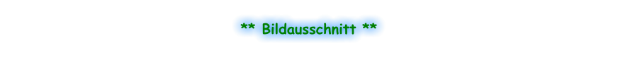 ** Bildausschnitt **