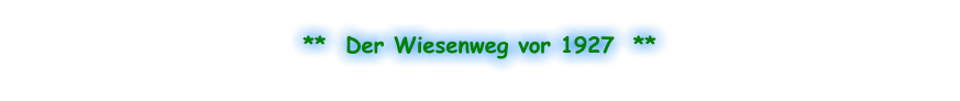 **  Der Wiesenweg vor 1927  **
