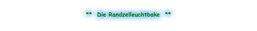 **  Die Randzelleuchtbake  **