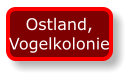 Ostland, Vogelkolonie