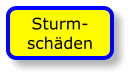 Sturm-schäden