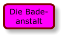 Die Bade-anstalt