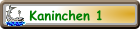 Kaninchen 1