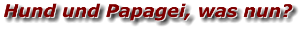 Hund und Papagei, was nun? Hund und Papagei, was nun?