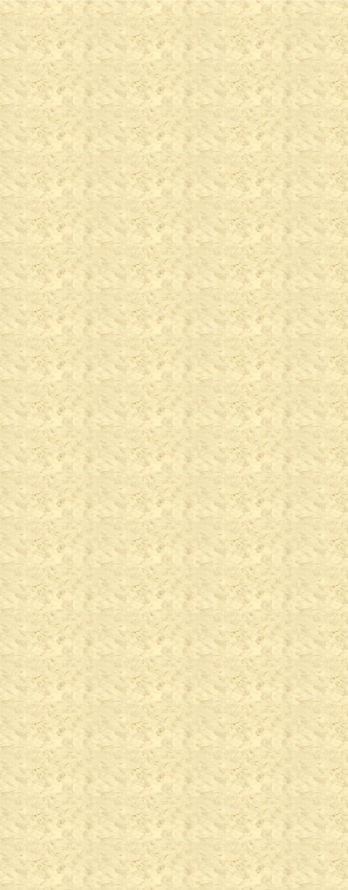 Ebene 4