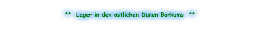 **  Lager in den östlichen Dünen Borkums  **